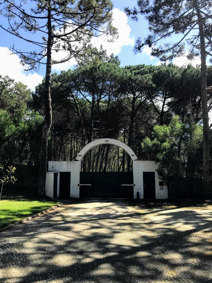 Villa Colares Sintra Exterior photo